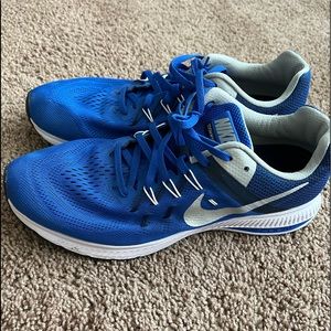 Nike Shoes (Winflo 2 Blue)